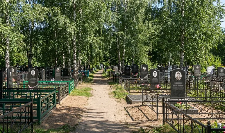 Преображенское кладбище в Рязани