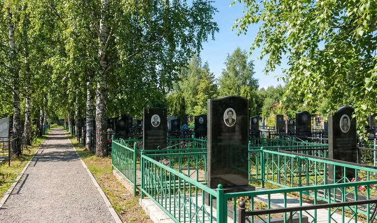 Старое Елшанское кладбище