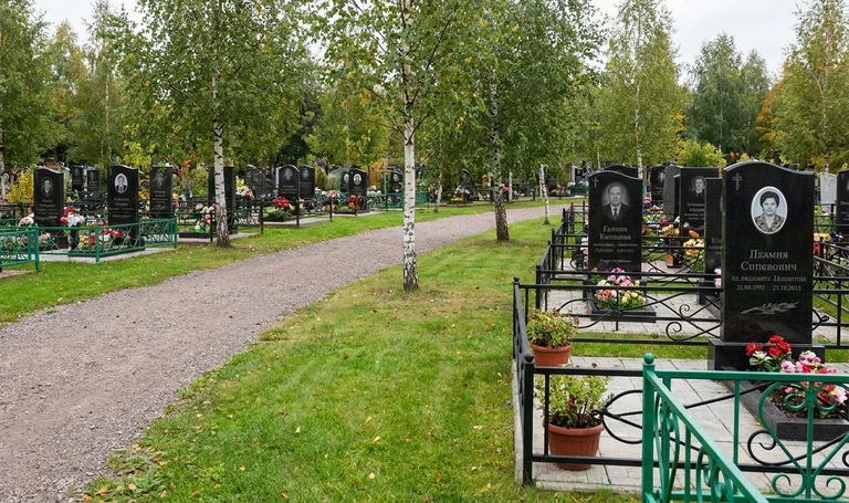 Памятники на Старом Косыревском кладбище в Липецке