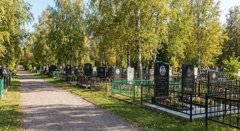 Тоазовское кладбище в Тольятти