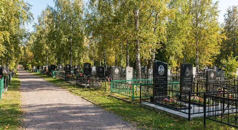 Тоазовское кладбище